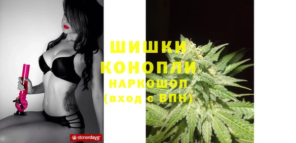 амф Арсеньев