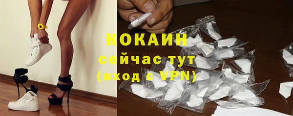 амф Арсеньев