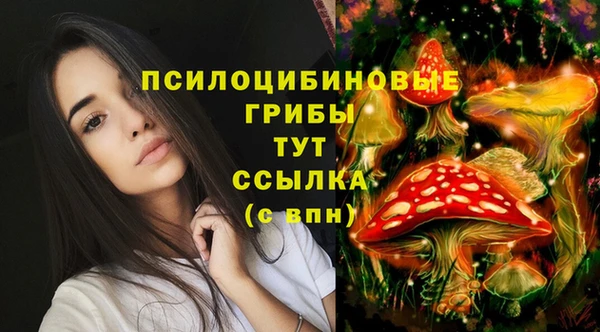 стафф Аркадак