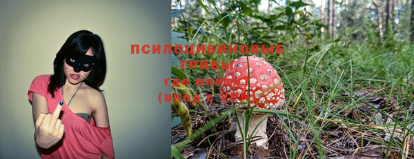 амф Арсеньев